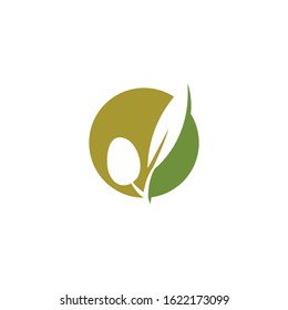 olive icon vector illustration design template