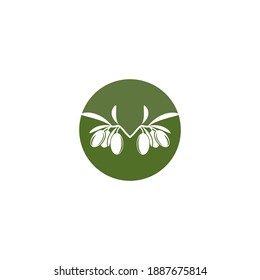 plantilla de diseño de ilustración de vector de icono de oliva