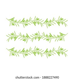 olive icon vector illustration design template