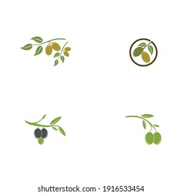 olive icon vector illustration design template