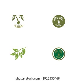 olive icon vector illustration design template