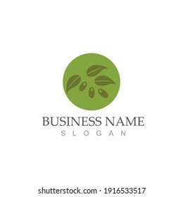 olive icon vector illustration design template