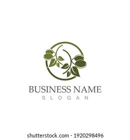 olive icon vector illustration design template