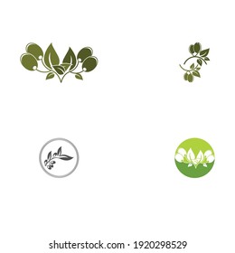 olive icon vector illustration design template