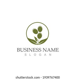 olive icon vector illustration design template