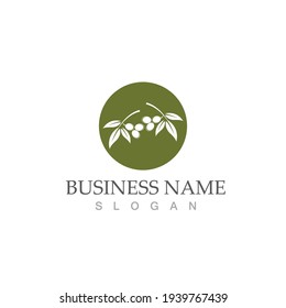 olive icon vector illustration design template
