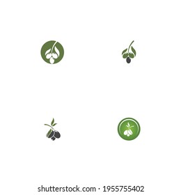 plantilla de diseño de ilustración de vector de icono de oliva