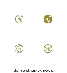 olive icon vector illustration design template