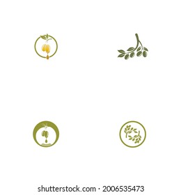 olive icon vector illustration design template