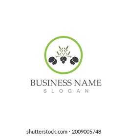 olive icon vector illustration design template