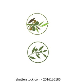 plantilla de diseño de ilustración de vector de icono de oliva
