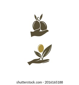plantilla de diseño de ilustración de vector de icono de oliva