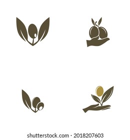 plantilla de diseño de ilustración de vector de icono de oliva