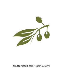 plantilla de diseño de ilustración de vector de icono de oliva