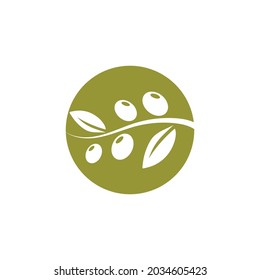 olive icon vector illustration design template