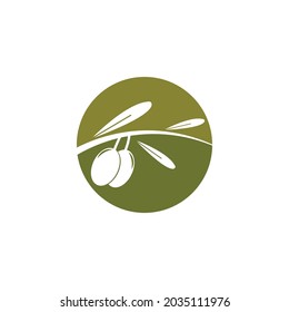 olive icon vector illustration design template