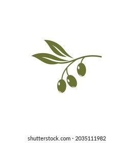 olive icon vector illustration design template