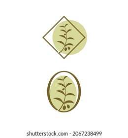 Olive icon vector illustration design template