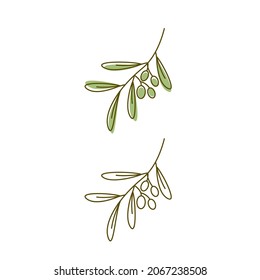 Olive icon vector illustration design template