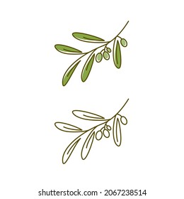 Olive icon vector illustration design template