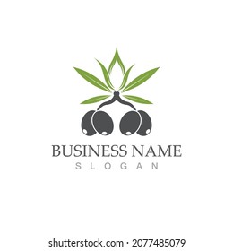olive icon vector illustration design template