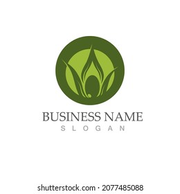 olive icon vector illustration design template