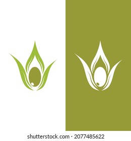olive icon vector illustration design template