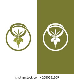 plantilla de diseño de ilustración de vector de icono de oliva