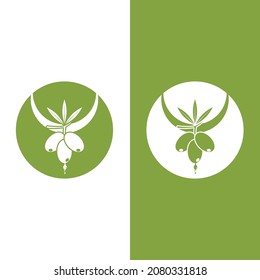 olive icon vector illustration design template
