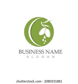 olive icon vector illustration design template
