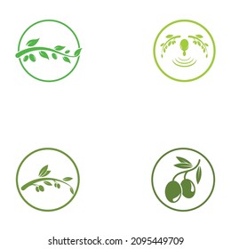 olive icon vector illustration design template