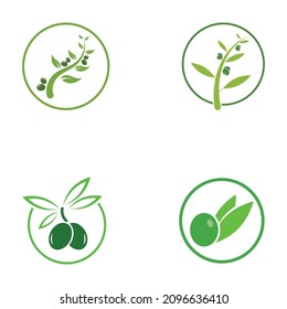 plantilla de diseño de ilustración de vector de icono de oliva