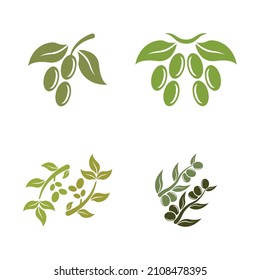 olive icon vector illustration design template