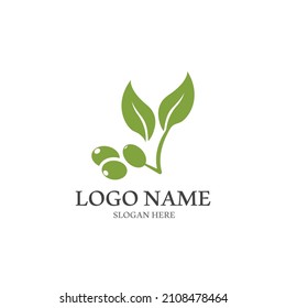 olive icon vector illustration design template