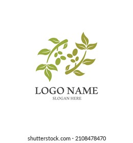 olive icon vector illustration design template