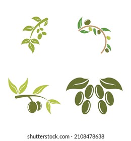 olive icon vector illustration design template