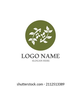 olive icon vector illustration design template