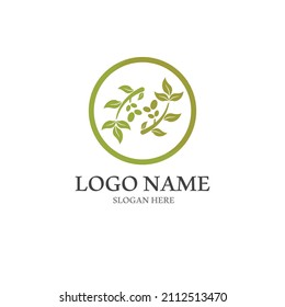 olive icon vector illustration design template