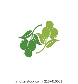 olive icon vector illustration design template