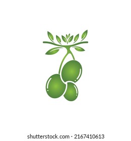 plantilla de diseño de ilustración de vector de icono de oliva