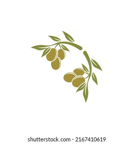 olive icon vector illustration design template