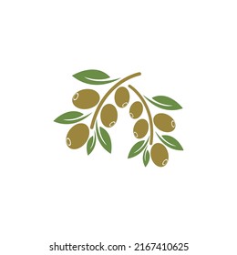 plantilla de diseño de ilustración de vector de icono de oliva