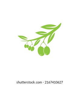 plantilla de diseño de ilustración de vector de icono de oliva