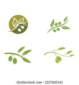 olive icon vector illustration design template