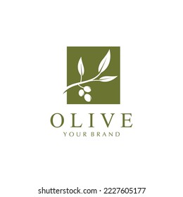 olive icon vector illustration design template