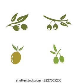 plantilla de diseño de ilustración de vector de icono de oliva