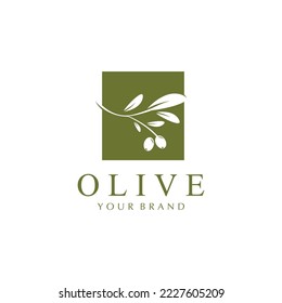 olive icon vector illustration design template