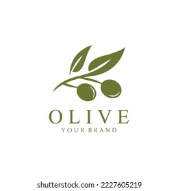 plantilla de diseño de ilustración de vector de icono de oliva