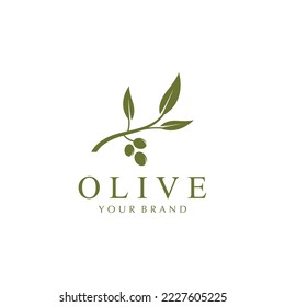 olive icon vector illustration design template