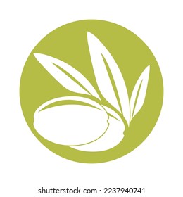 olive icon vector illustration design template
